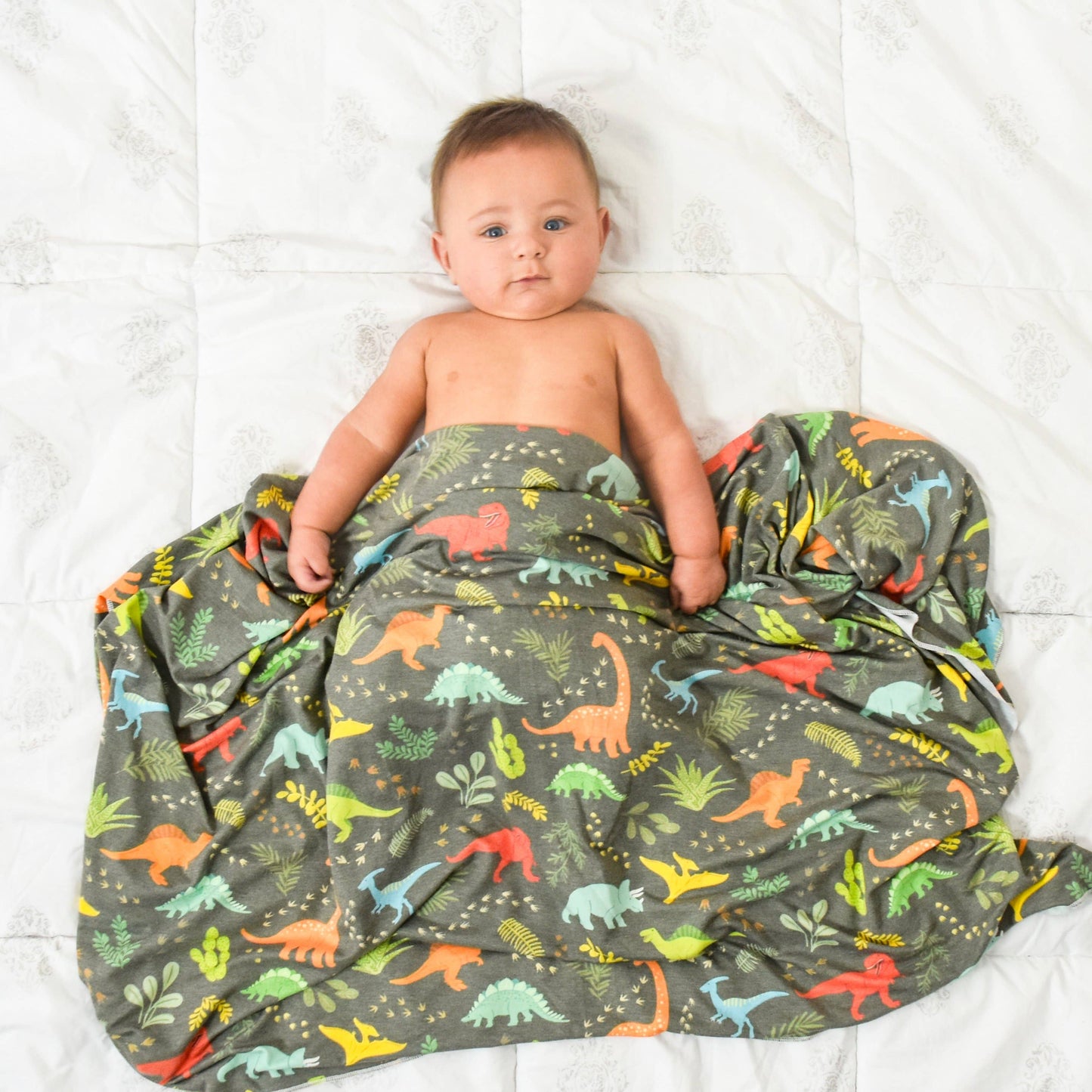 Jurassic Tracks Swaddle Blanket