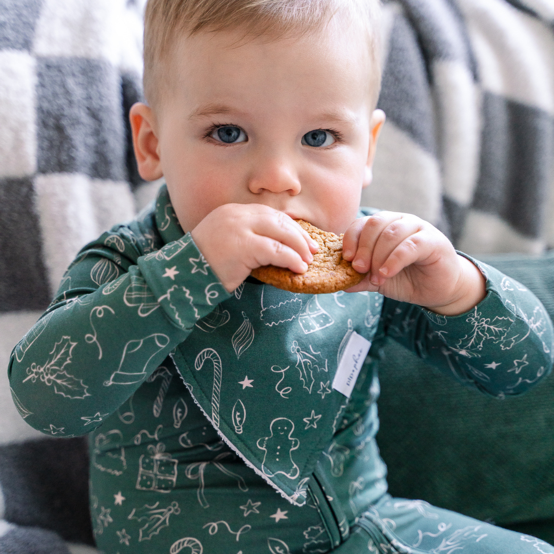 Bamboo Bandana Bibs
