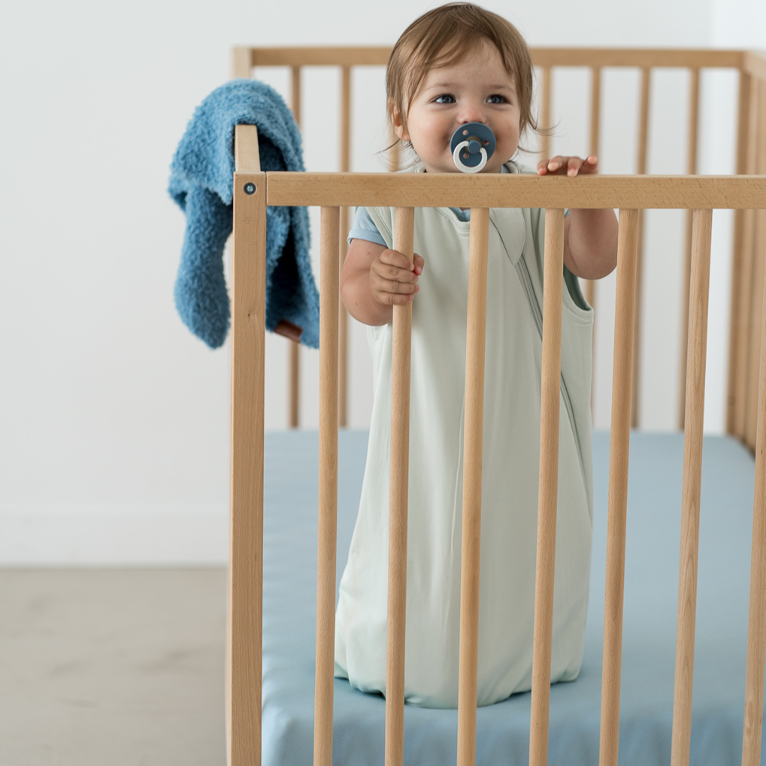 Plush Loveys | 15" x 20"